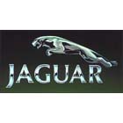 ibusiness clients jaguar